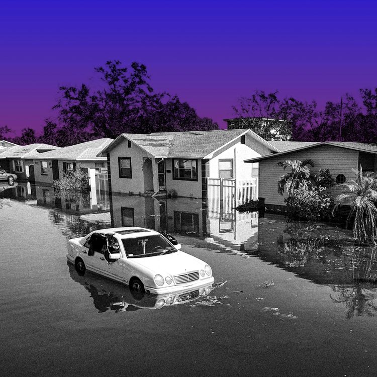 cover art for An Extremely Online Hurricane Season