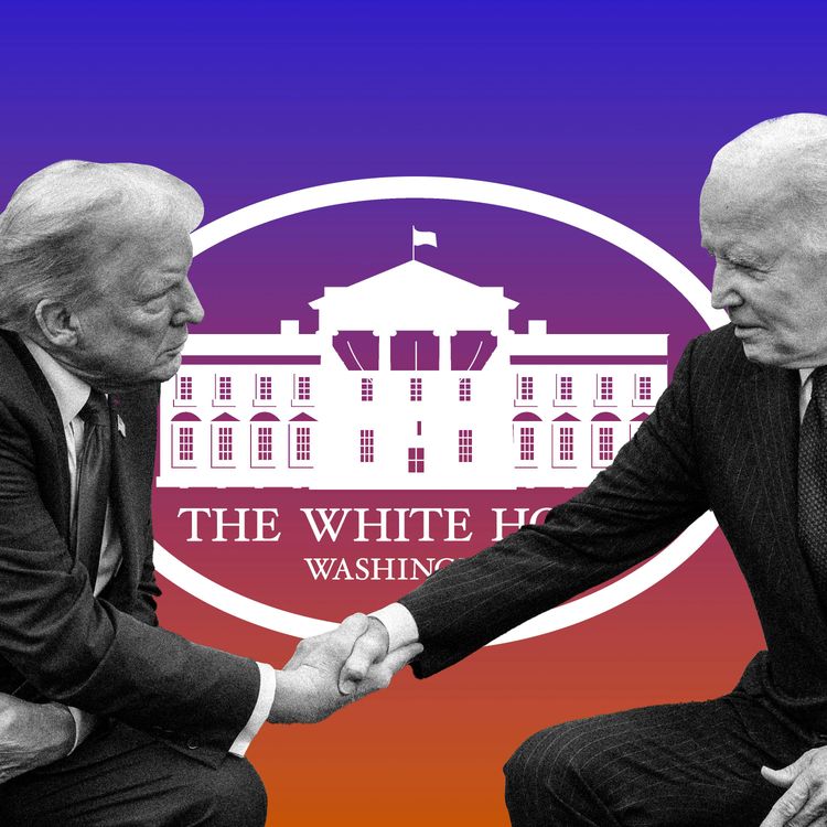 cover art for The Trump Restoration