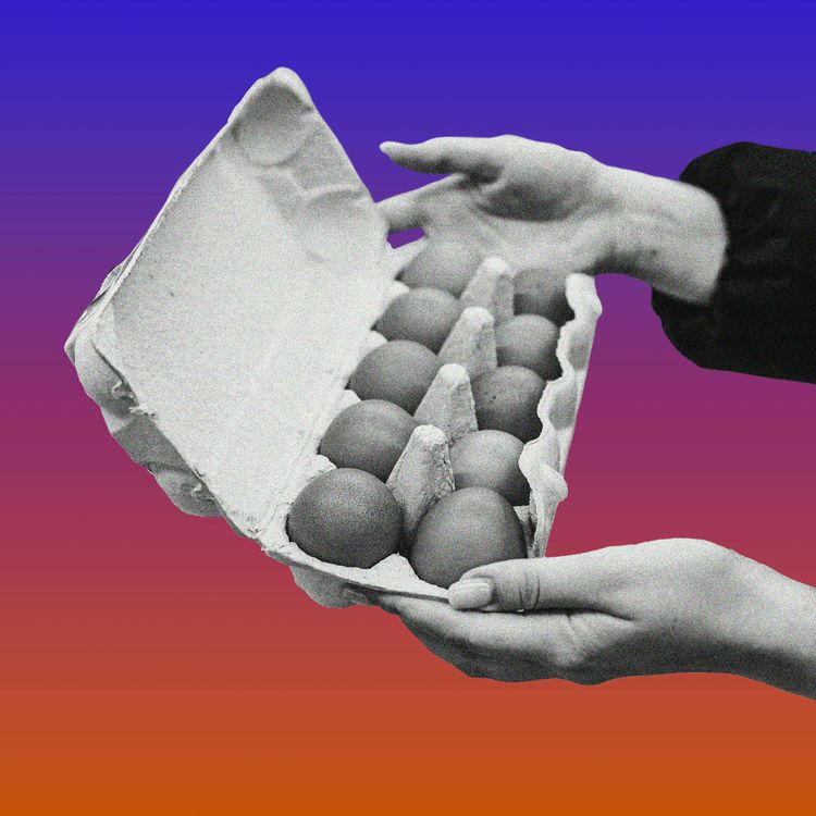 cover art for Which Came First, the Bird Flu or the Egg?