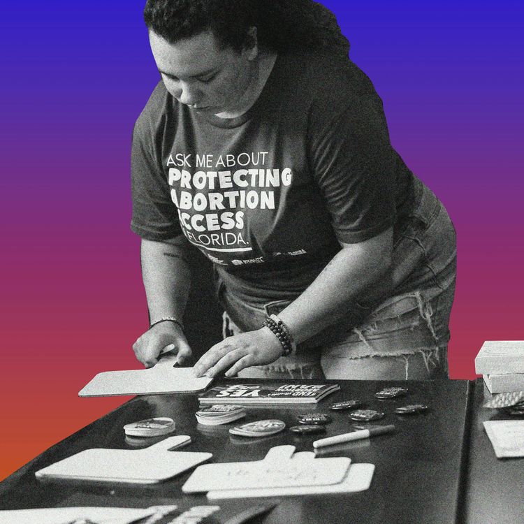 cover art for Abortion Is on the Ballot. Republicans Have a Plan.