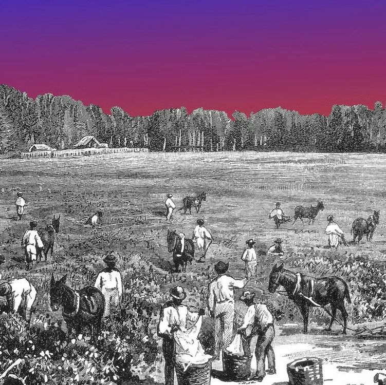 cover art for What Kids Aren't Learning About US History