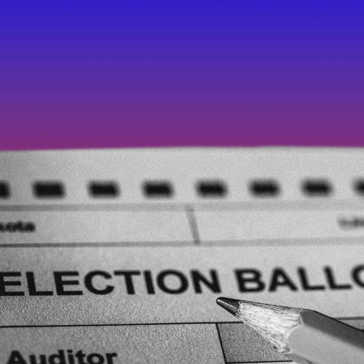 cover art for The Case for a Blue Wave