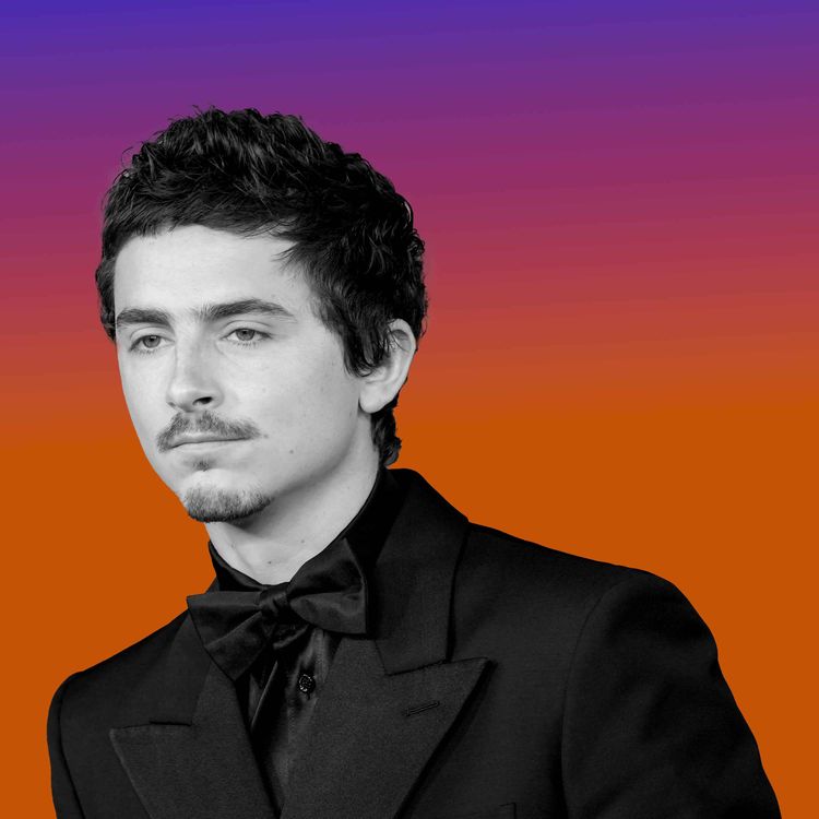 cover art for SchadenFriday: A Timothée Chalamet Ballet Melee