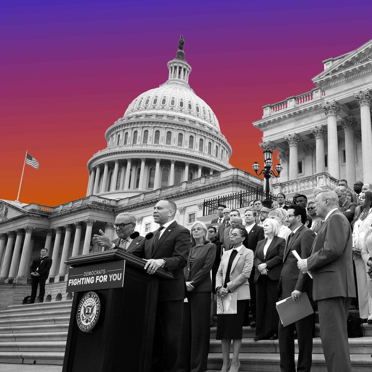 cover art for No Panic! at the DNC