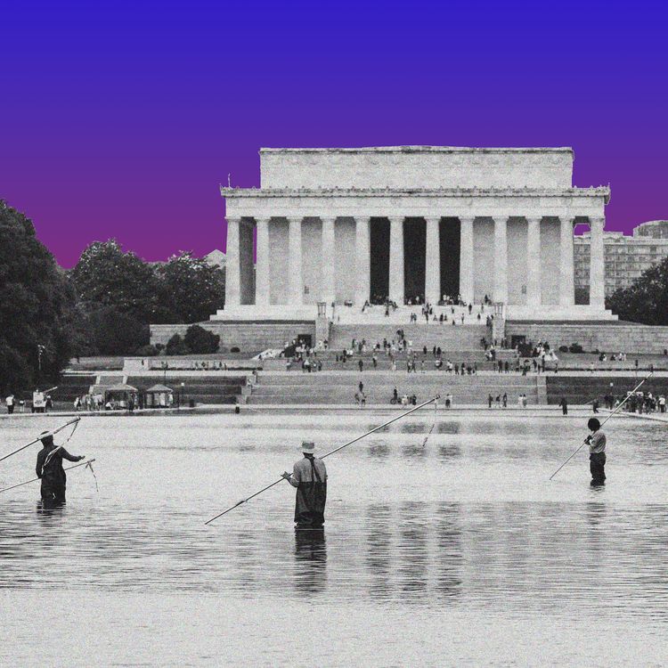 cover art for What the Pool’s Reflecting