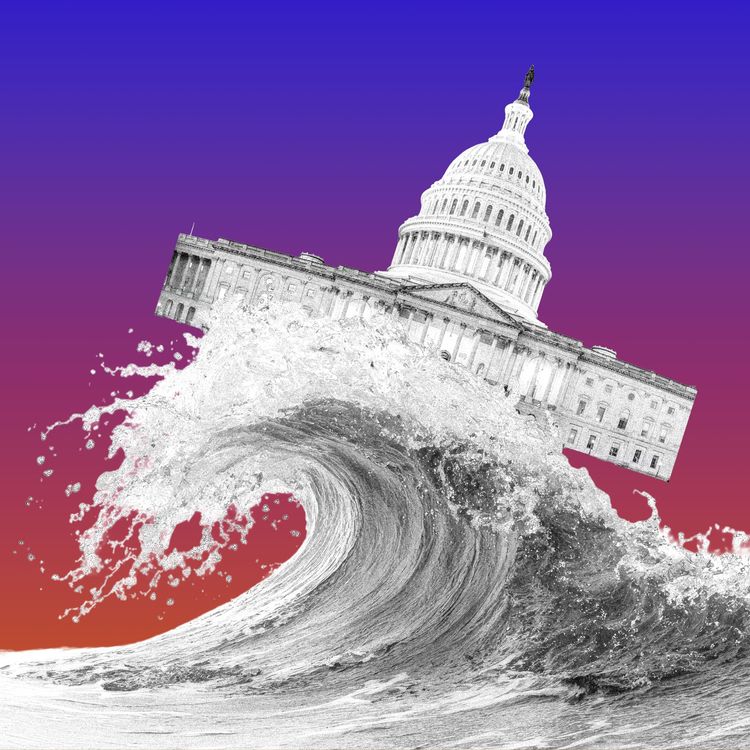 cover art for What Happens After a Blue Wave