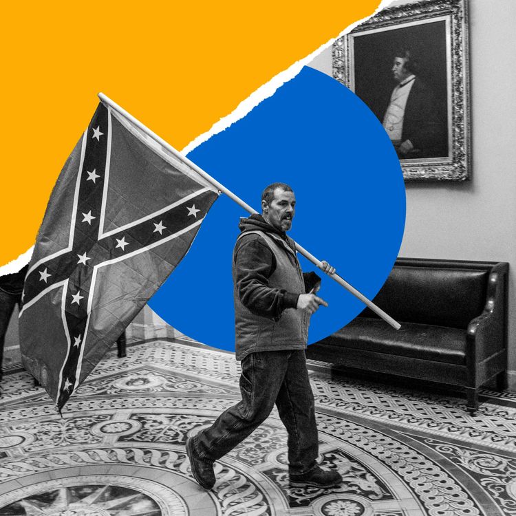 cover art for How to Catch an Insurrectionist