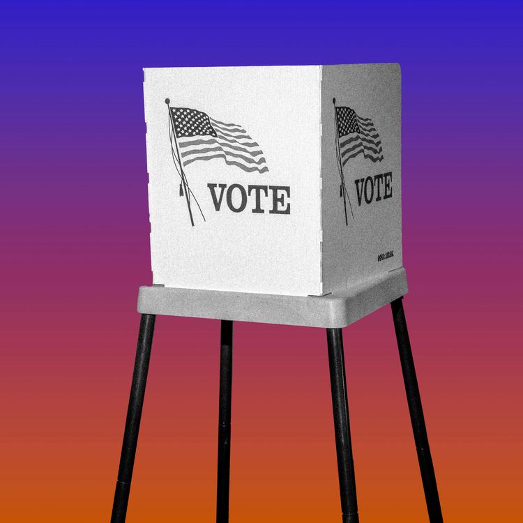 cover art for Spoiler Alert: Undecided Voters