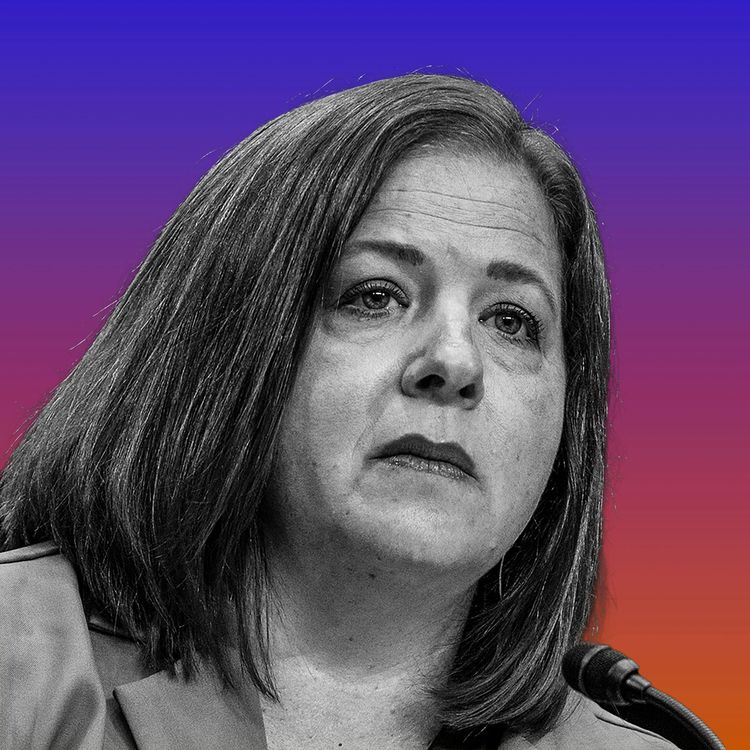 cover art for The OB-GYN Behind the Fight to Ban Mifepristone