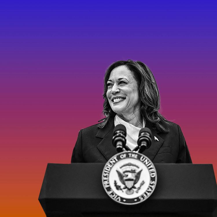 cover art for The DEI Smear Against Kamala Harris