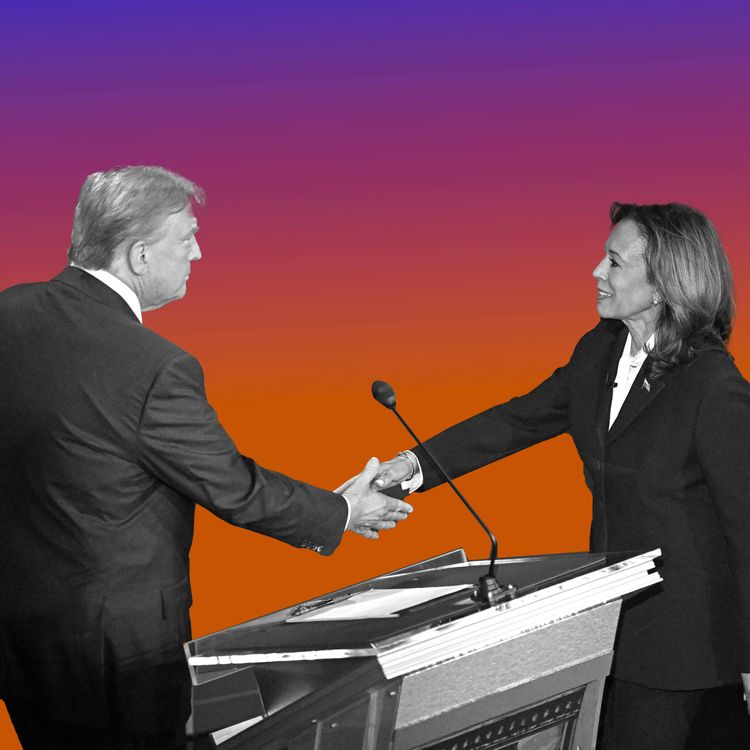 cover art for What to Watch While Watching Election Results