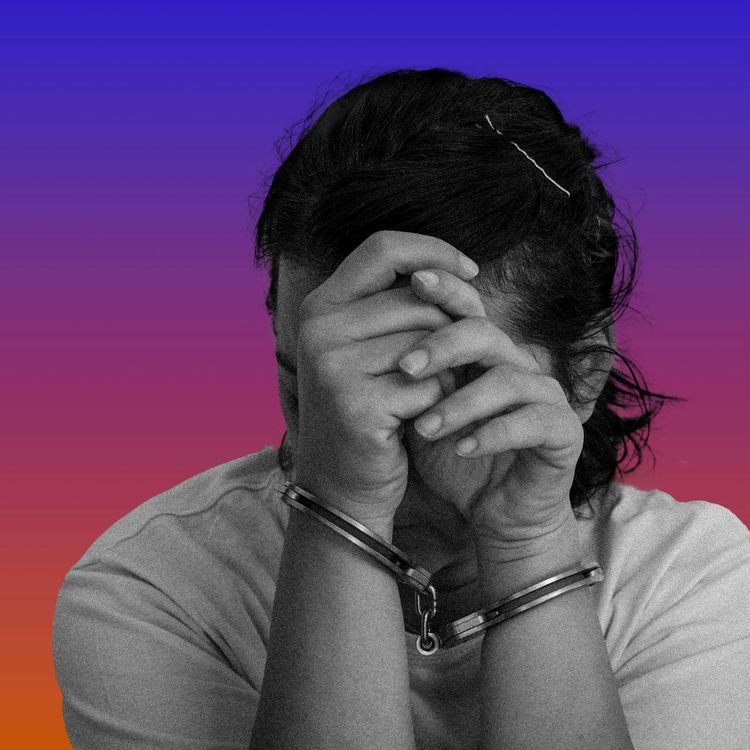 cover art for Why Women Kill