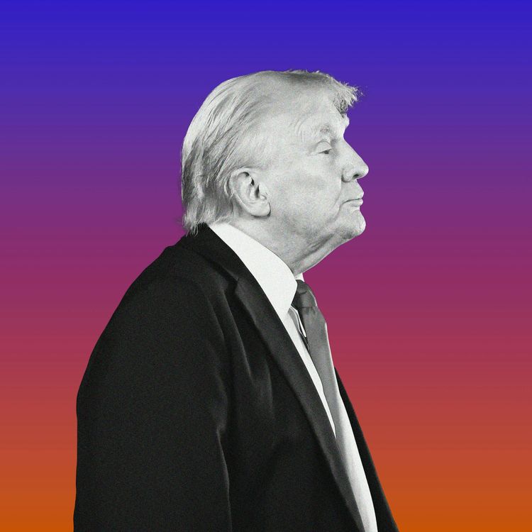 cover art for Trump Seems Lost. But Can He Lose?