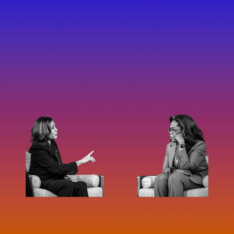 cover art for Why More Democrats Are Buying Guns