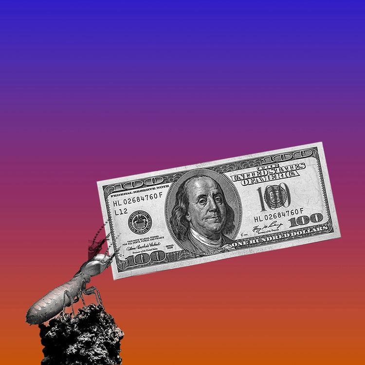 cover art for What's Eating the Economy?