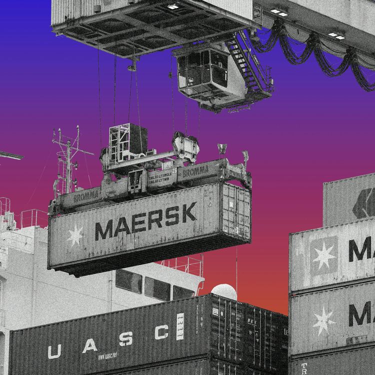 cover art for Yes, Shelves Will Be Empty