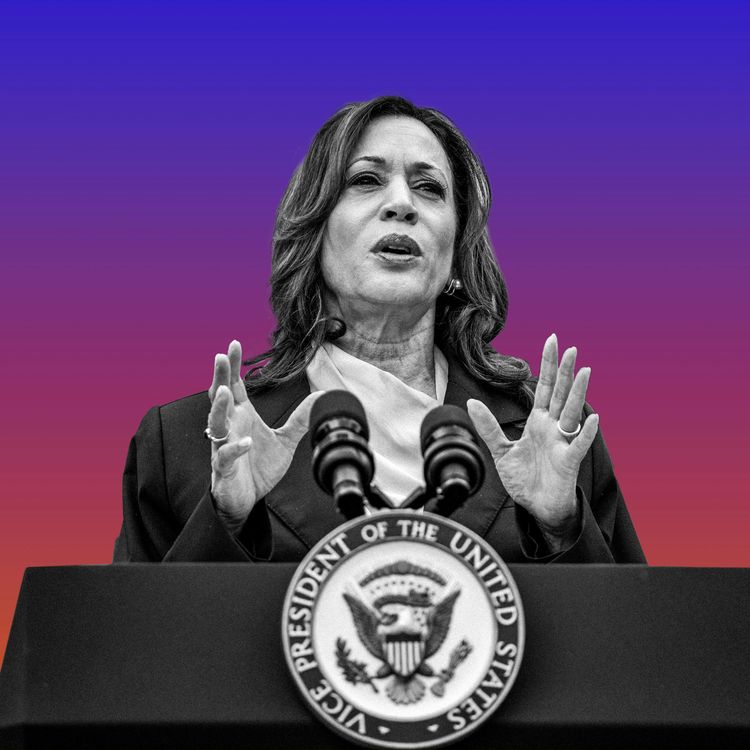 cover art for Kamala Harris: Meme Queen to Madame President?