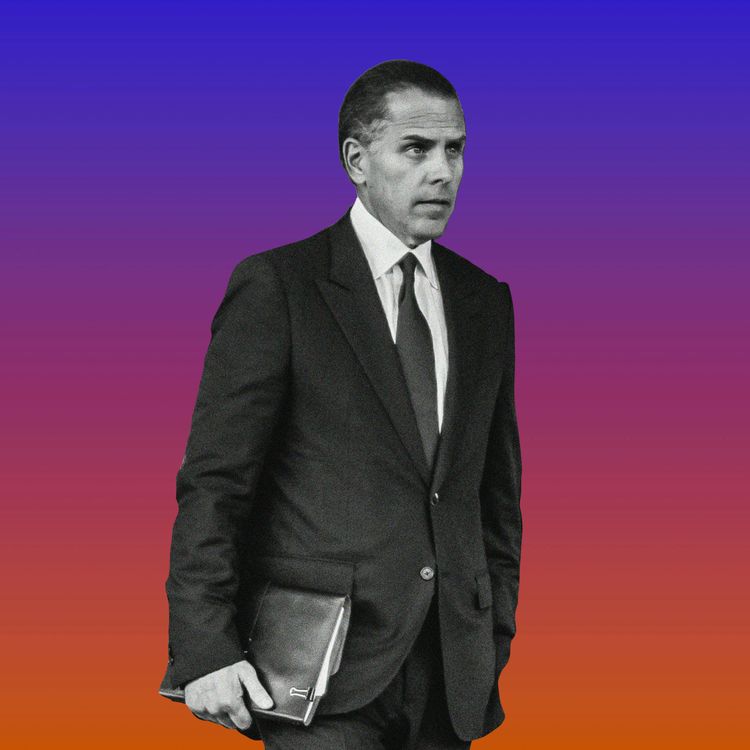 cover art for Did Biden Break the Presidential Pardon?