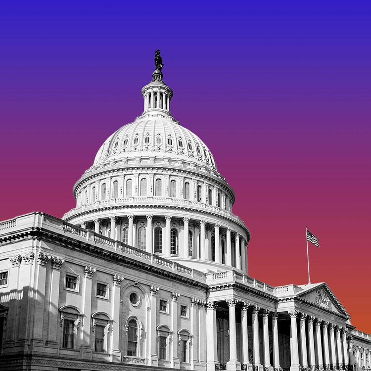 cover art for Was Democracy Voted Out?