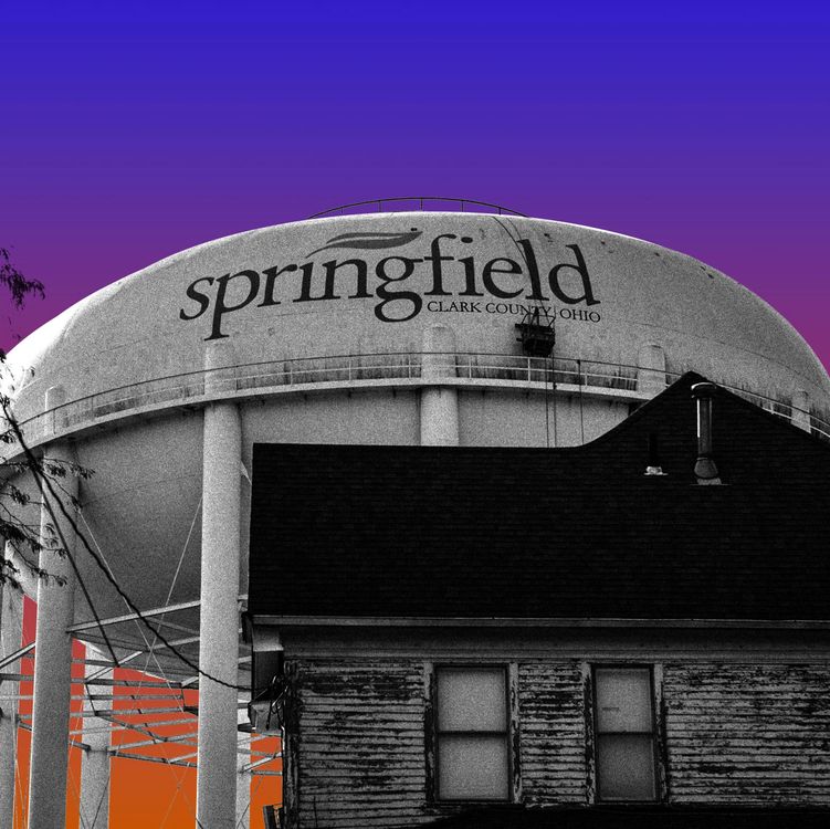 cover art for The View from Springfield, Ohio