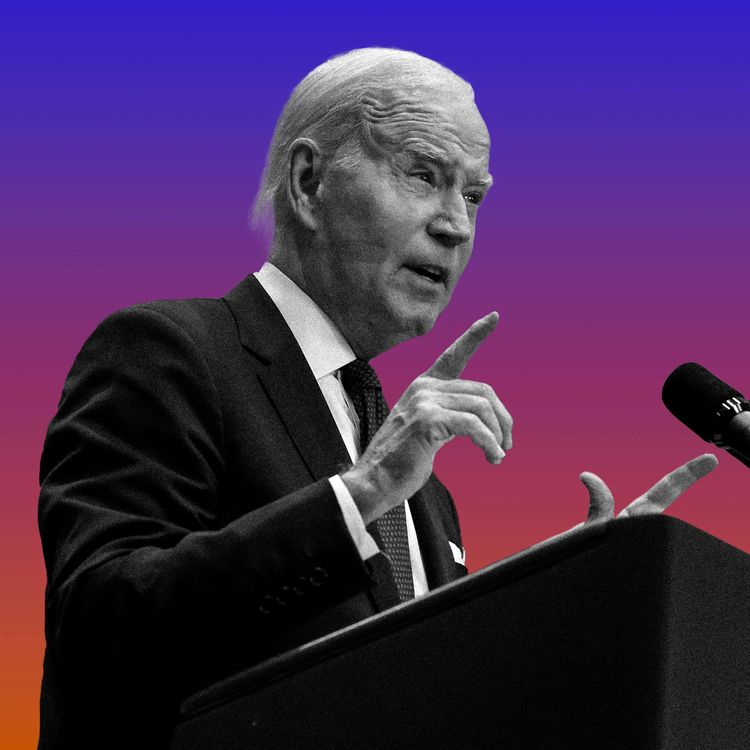 cover art for Could Biden's Court Reforms Actually Work?