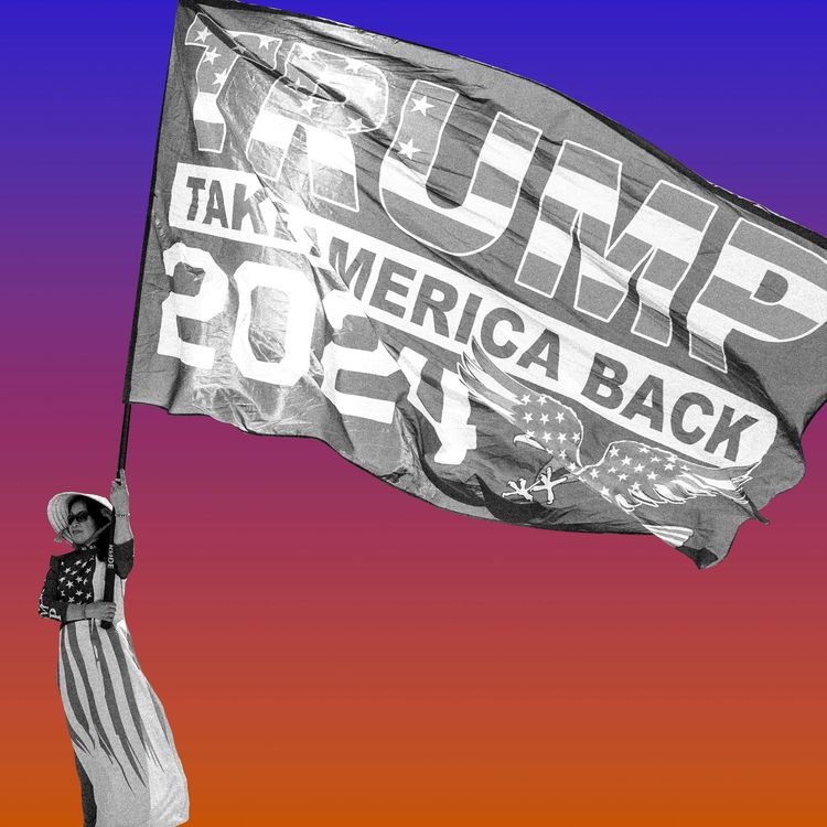 cover art for What Republicans Really Want