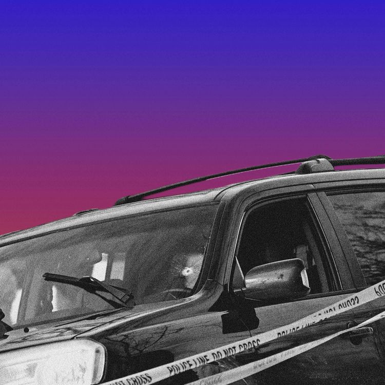 cover art for Everyone Saw ICE Kill Renee Good