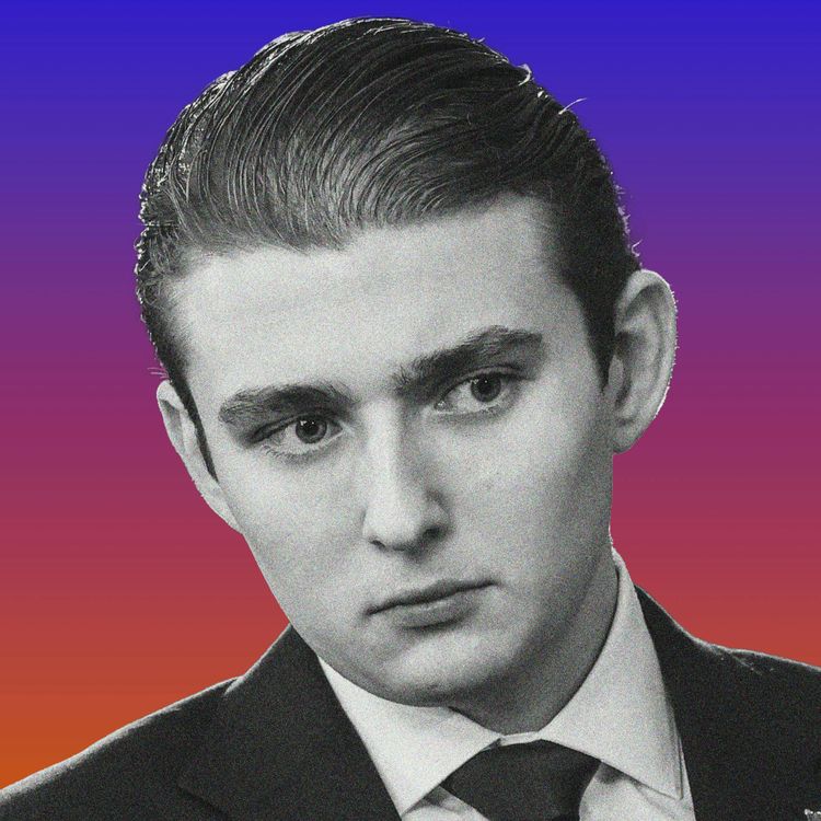 cover art for Barron Mania