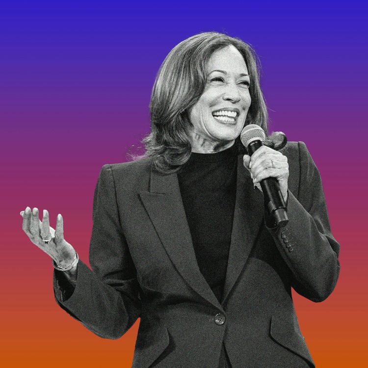 cover art for The DNC Is A Party. How Long Will It Last?