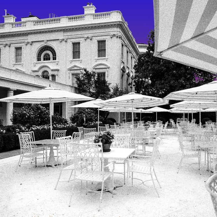 cover art for Decorator-In-Chief