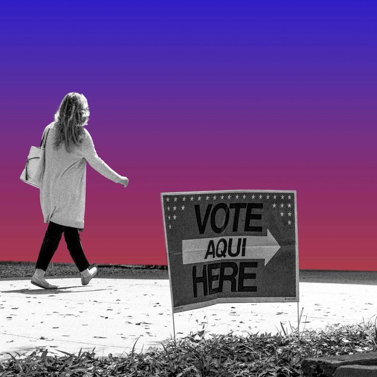 cover art for When Cops Police Your Vote