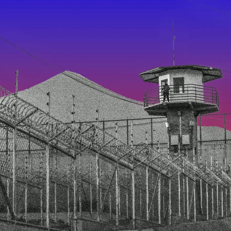 cover art for How Trump Brought Home a Murderer