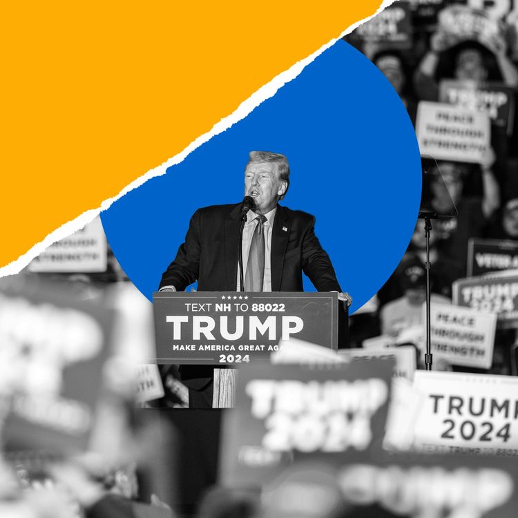 cover art for Trump’s Second Term