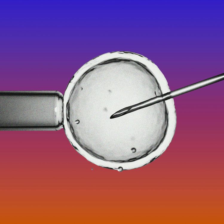 cover art for How IVF Became the GOP's Next Battle