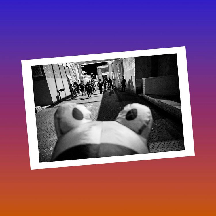 cover art for Inside the Portland “War Zone”