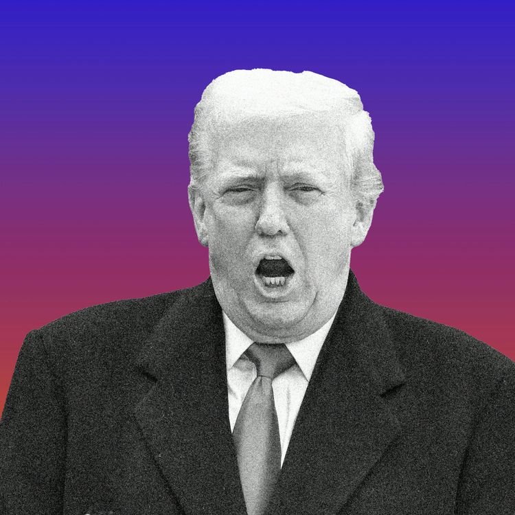 cover art for Pardon Me, Mr. President