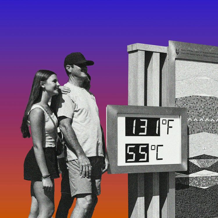 cover art for How to Survive This Heat