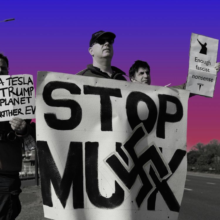 cover art for Will Tesla Survive Elon Musk?