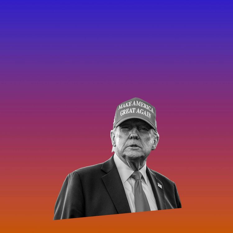 cover art for How Trump Is Trying to Kill Press Freedom