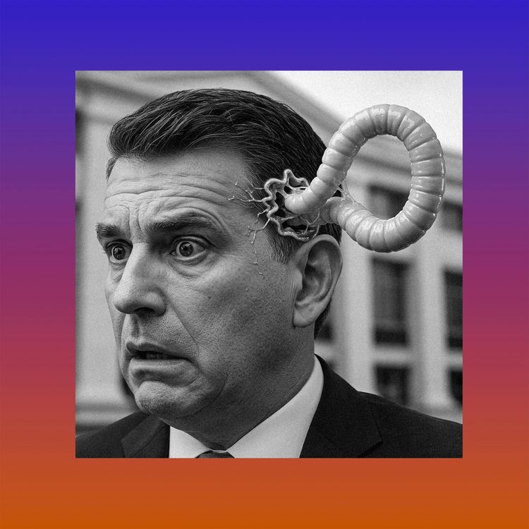 cover art for We Made a Memecoin