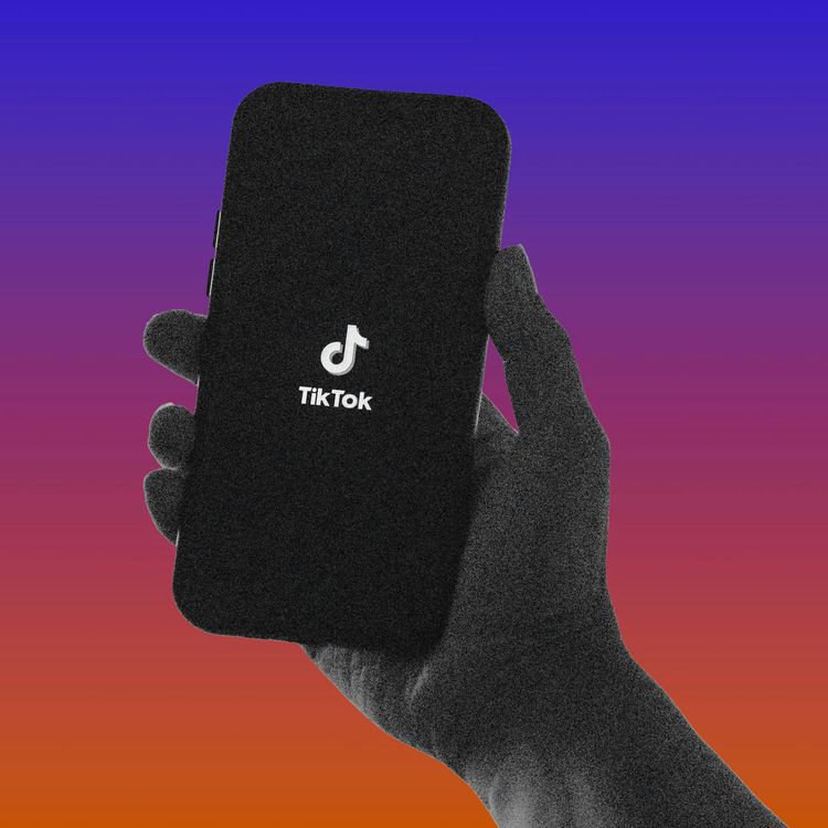 cover art for Will the Supreme Court Save TikTok?