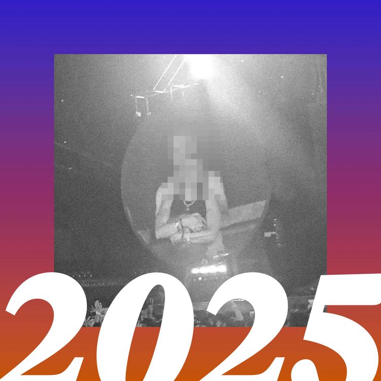 cover art for 2025: The Meme of the Year
