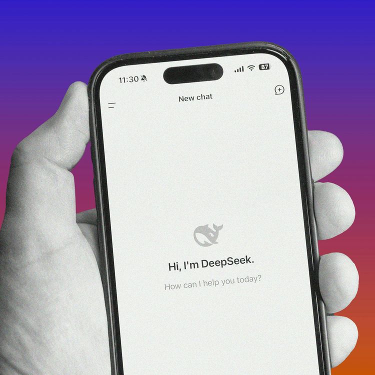 cover art for The DeepSeek Panic