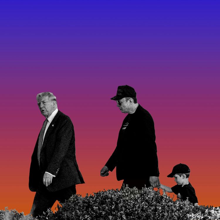 cover art for So Long, Elon