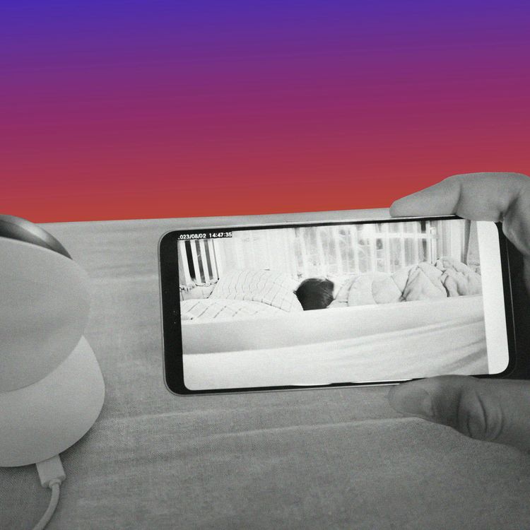 cover art for The Baby Monitor Trap