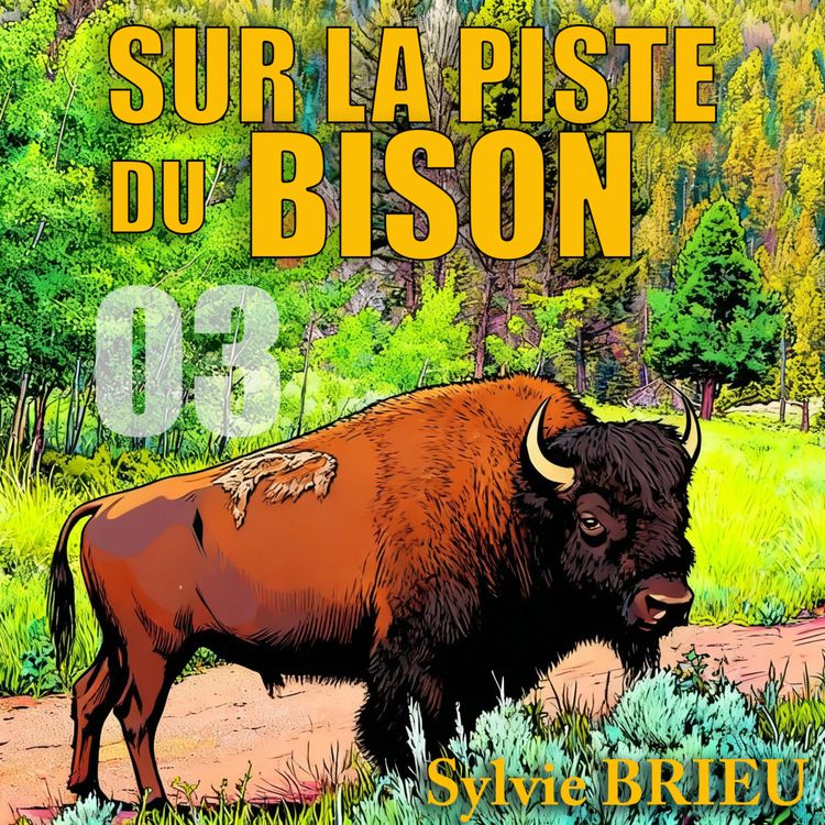 cover art for Ép.3 : Sur la montagne sacrée des Blackfeet avec Ervin Carlson, président du Conseil InterTribal des Bisons