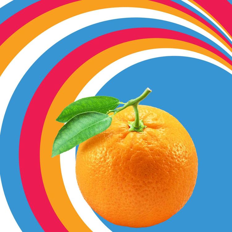 cover art for No Pulp: The Killing of the Florida Orange