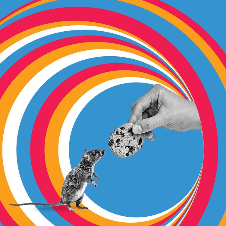 cover art for If You Give a Mouse a Cookie… Will He Want a Welfare Check?