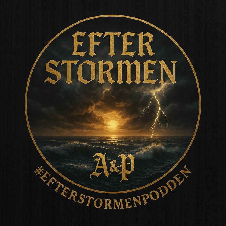 cover art for Efter Stormen - Problem