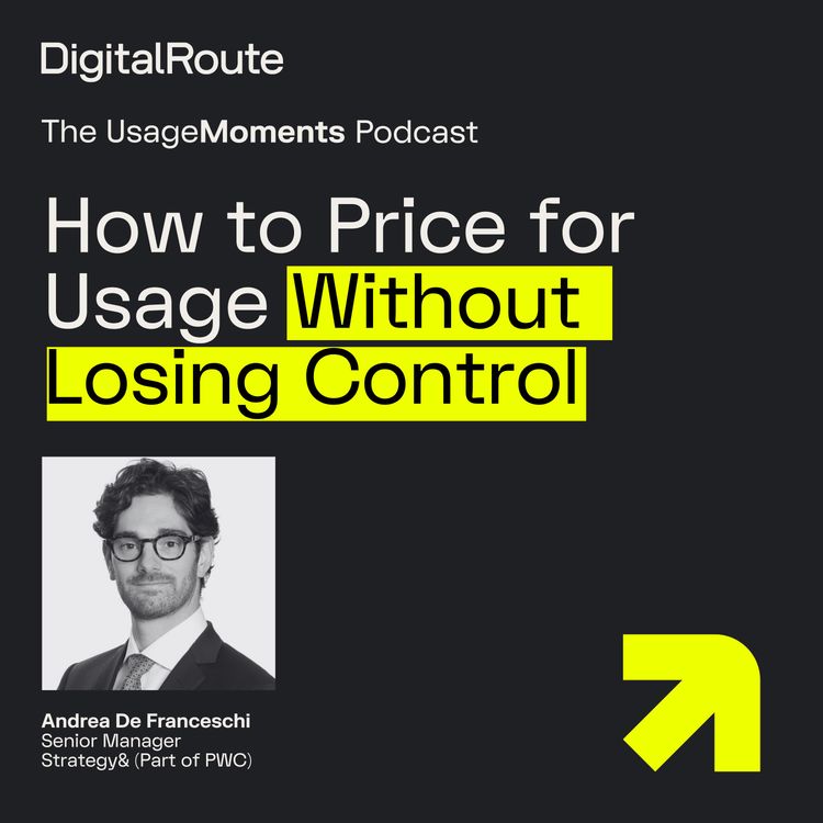 cover art for How to Price for Usage without Losing Control